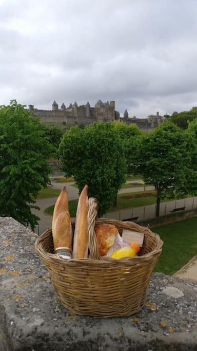 Appartement Carcassonnais Avec Parking Carcassonne Dış mekan fotoğraf